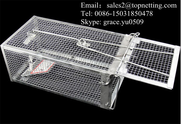 steel mousetraps