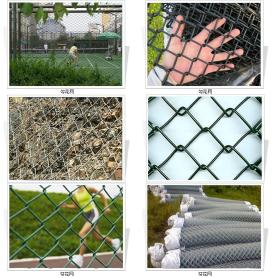 Wire Mesh Fence