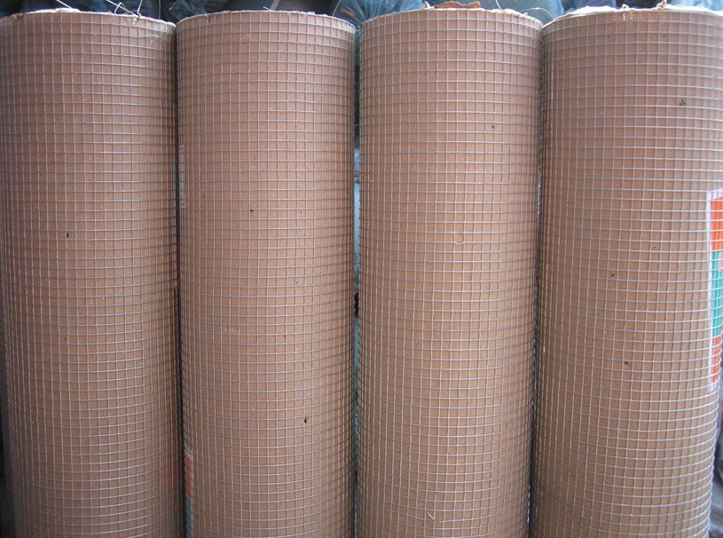 galvanized welded wire mesh