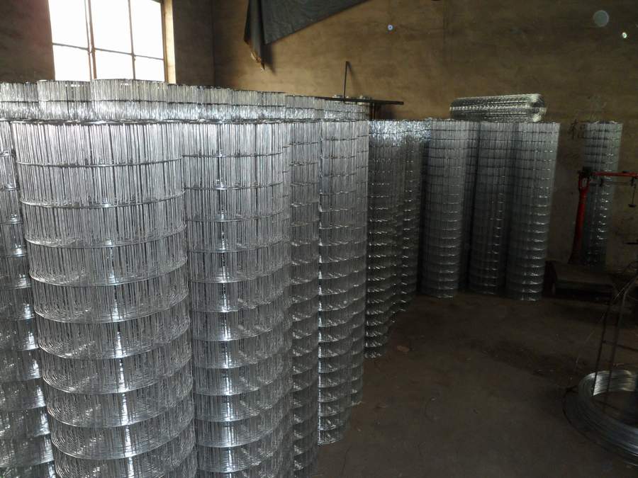 galvanized welded wire mesh