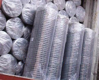 galvanized welded wire mesh