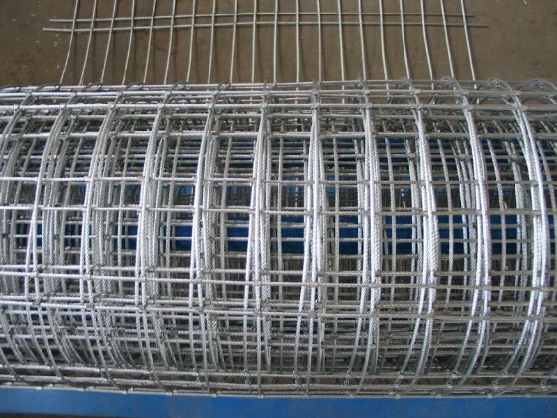 galvanized welded wire mesh