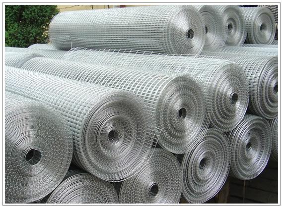 galvanized welded wire mesh