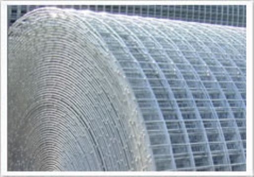 galvanized welded wire mesh