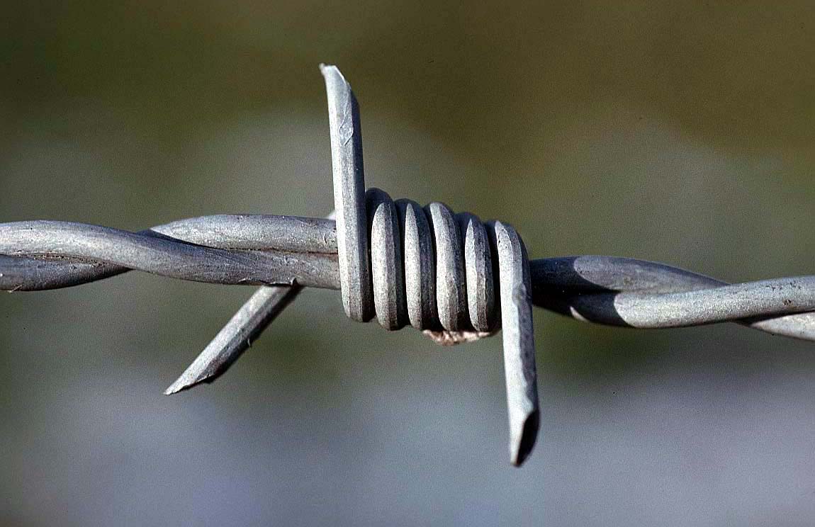 barbed wire 