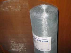 insect screen--galvanized