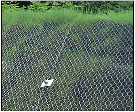 hexagonal wire mesh for seawall