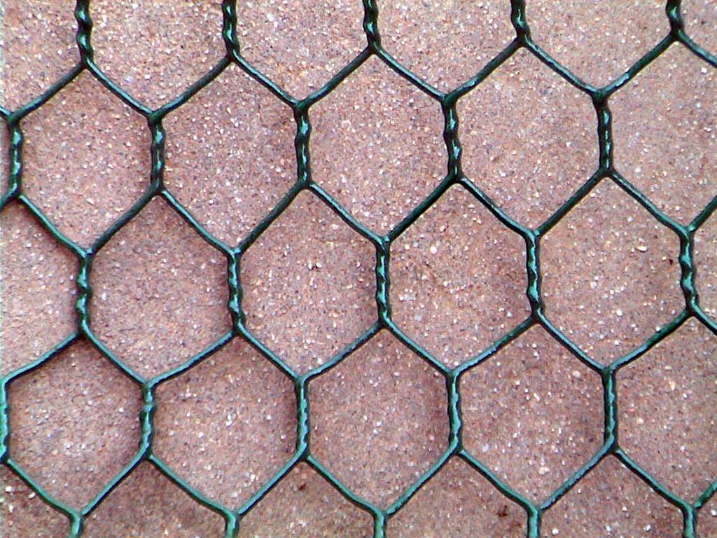 pvc coated hexagonal wire mesh