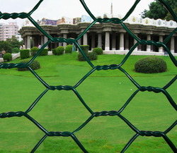 hexagonal wire mesh for residential protection