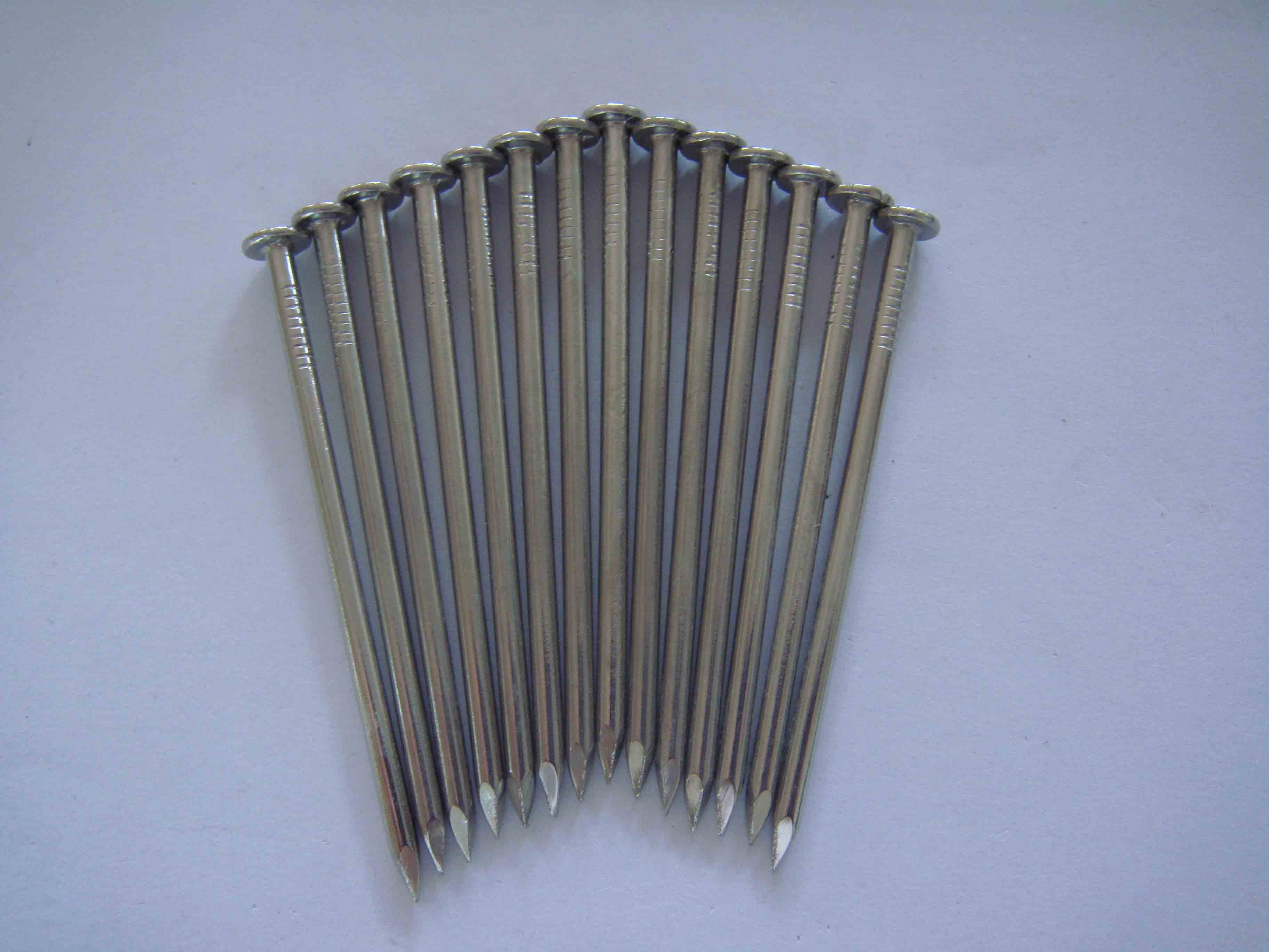 Stainless Steel Strip Nails